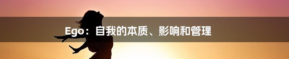 Ego：自我的本质、影响和管理