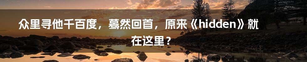 众里寻他千百度，蓦然回首，原来《hidden》就在这里？