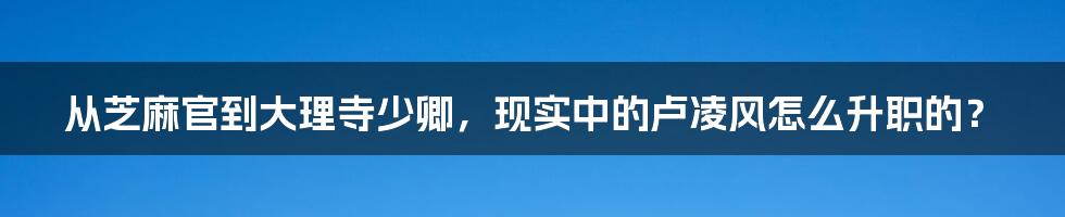 从芝麻官到大理寺少卿，现实中的卢凌风怎么升职的？