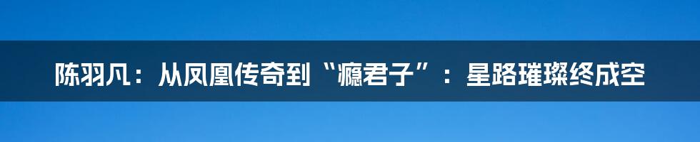 陈羽凡：从凤凰传奇到“瘾君子”：星路璀璨终成空