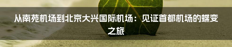 从南苑机场到北京大兴国际机场：见证首都机场的蝶变之旅