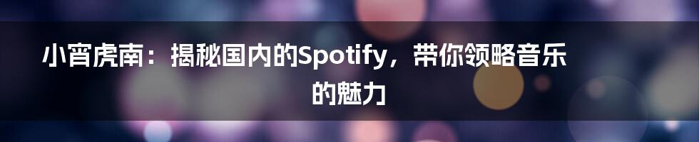 小宵虎南：揭秘国内的Spotify，带你领略音乐的魅力