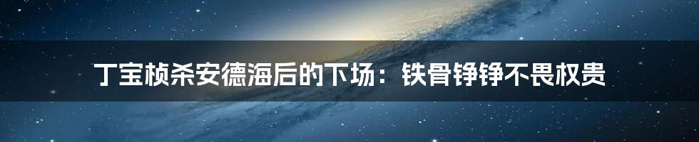 丁宝桢杀安德海后的下场：铁骨铮铮不畏权贵