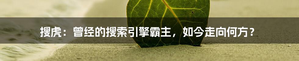 搜虎：曾经的搜索引擎霸主，如今走向何方？