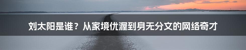 刘太阳是谁？从家境优渥到身无分文的网络奇才