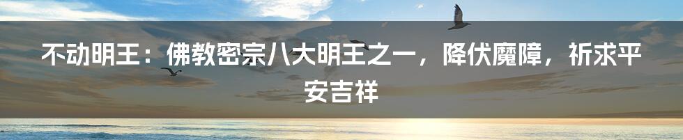 不动明王：佛教密宗八大明王之一，降伏魔障，祈求平安吉祥