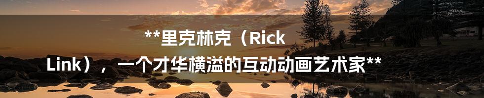 **里克林克（Rick Link），一个才华横溢的互动动画艺术家**