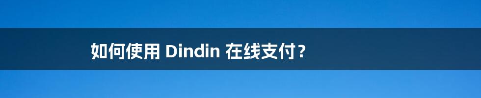 如何使用 Dindin 在线支付？