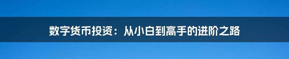 数字货币投资：从小白到高手的进阶之路