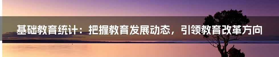 基础教育统计：把握教育发展动态，引领教育改革方向