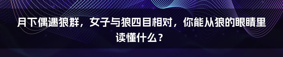 月下偶遇狼群，女子与狼四目相对，你能从狼的眼睛里读懂什么？