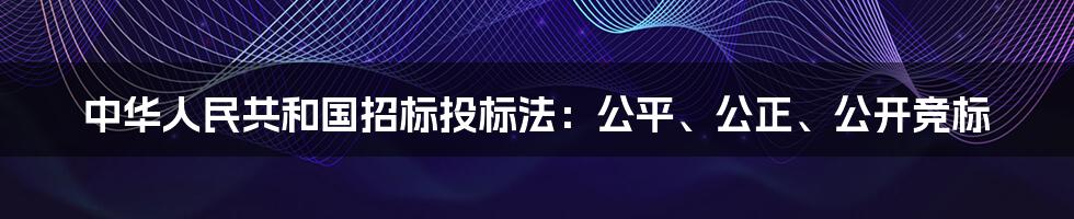 中华人民共和国招标投标法：公平、公正、公开竞标