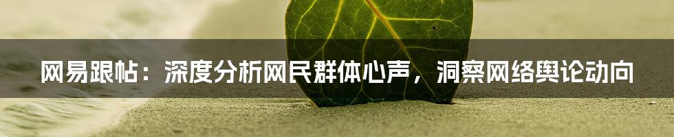 网易跟帖：深度分析网民群体心声，洞察网络舆论动向