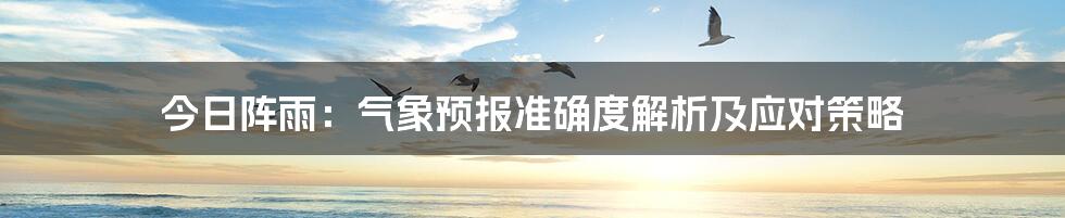 今日阵雨：气象预报准确度解析及应对策略