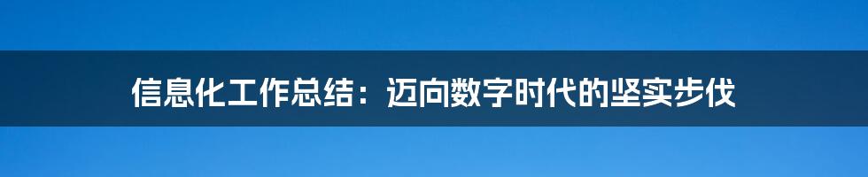 信息化工作总结：迈向数字时代的坚实步伐