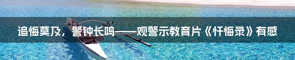 追悔莫及，警钟长鸣——观警示教育片《忏悔录》有感