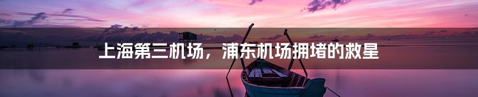 上海第三机场，浦东机场拥堵的救星