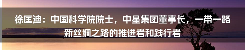 徐匡迪：中国科学院院士，中星集团董事长，一带一路新丝绸之路的推进者和践行者