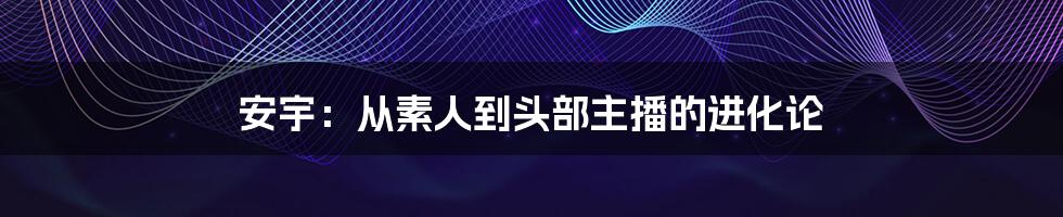 安宇：从素人到头部主播的进化论