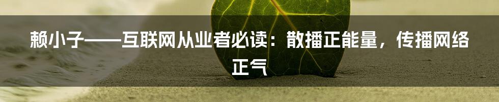 赖小子——互联网从业者必读：散播正能量，传播网络正气