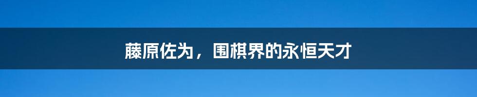 藤原佐为，围棋界的永恒天才