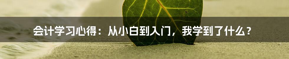 会计学习心得：从小白到入门，我学到了什么？