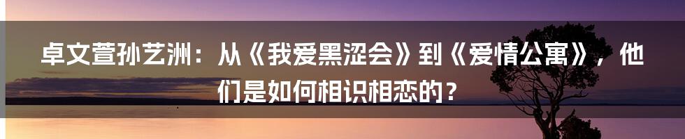 卓文萱孙艺洲：从《我爱黑涩会》到《爱情公寓》，他们是如何相识相恋的？