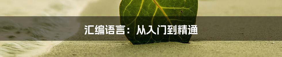 汇编语言：从入门到精通