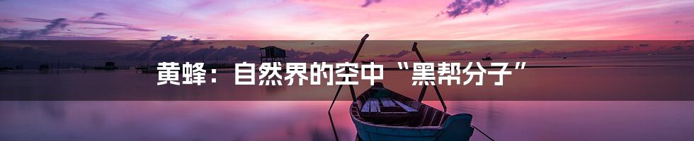 黄蜂：自然界的空中“黑帮分子”