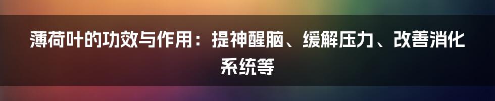 薄荷叶的功效与作用：提神醒脑、缓解压力、改善消化系统等