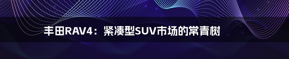 丰田RAV4：紧凑型SUV市场的常青树