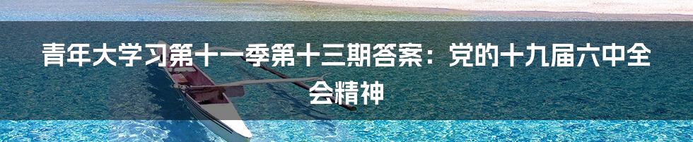 青年大学习第十一季第十三期答案：党的十九届六中全会精神