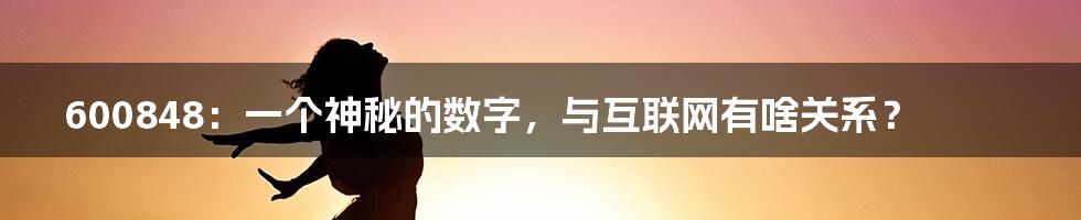 600848：一个神秘的数字，与互联网有啥关系？