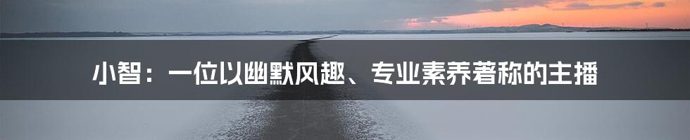 小智：一位以幽默风趣、专业素养著称的主播