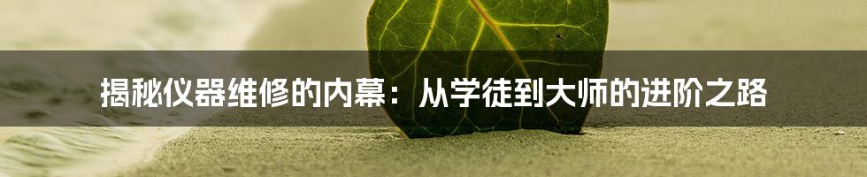 揭秘仪器维修的内幕：从学徒到大师的进阶之路