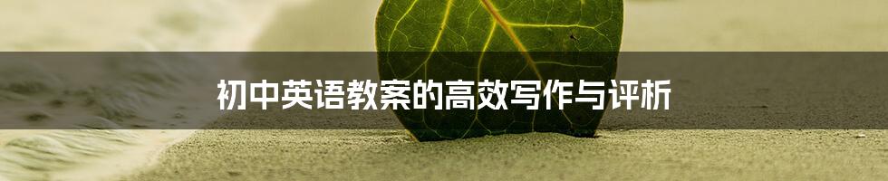 初中英语教案的高效写作与评析