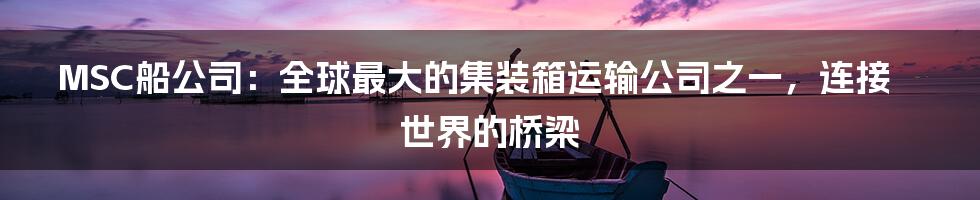 MSC船公司：全球最大的集装箱运输公司之一，连接世界的桥梁