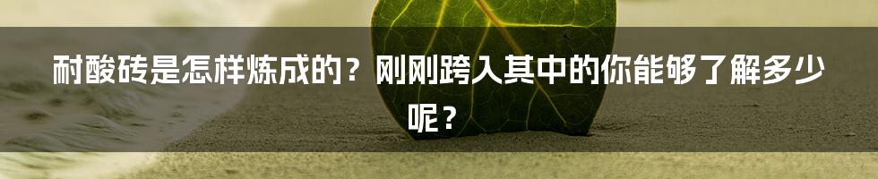 耐酸砖是怎样炼成的？刚刚跨入其中的你能够了解多少呢？