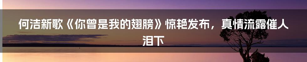 何洁新歌《你曾是我的翅膀》惊艳发布，真情流露催人泪下