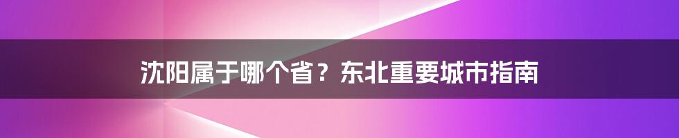 沈阳属于哪个省？东北重要城市指南