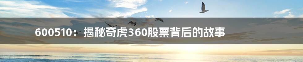 600510：揭秘奇虎360股票背后的故事