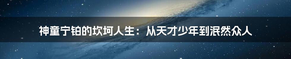 神童宁铂的坎坷人生：从天才少年到泯然众人