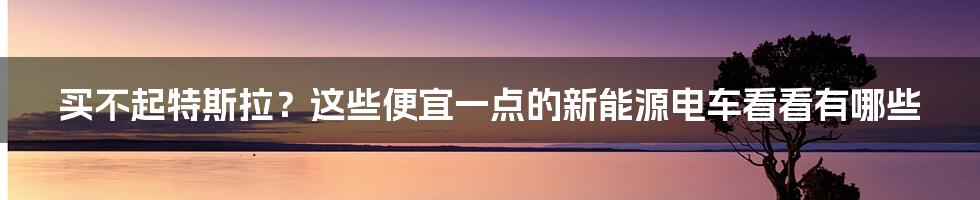 买不起特斯拉？这些便宜一点的新能源电车看看有哪些