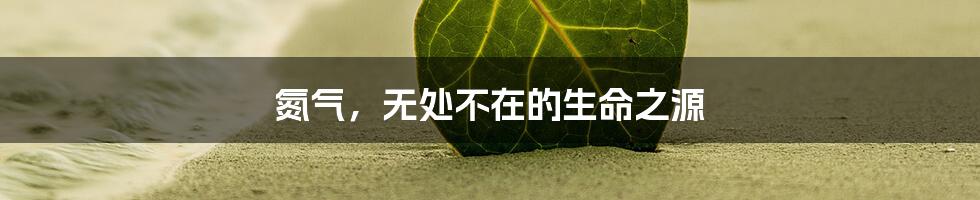 氮气，无处不在的生命之源