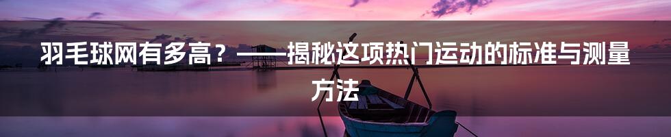 羽毛球网有多高？——揭秘这项热门运动的标准与测量方法