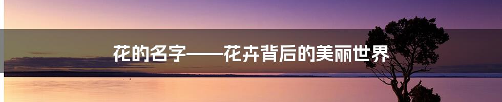 花的名字——花卉背后的美丽世界