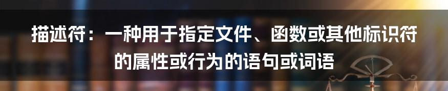 描述符：一种用于指定文件、函数或其他标识符的属性或行为的语句或词语