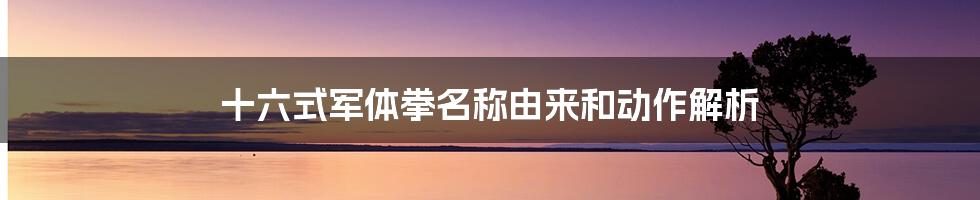 十六式军体拳名称由来和动作解析