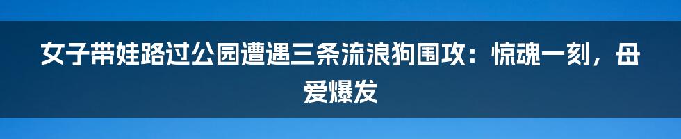 女子带娃路过公园遭遇三条流浪狗围攻：惊魂一刻，母爱爆发