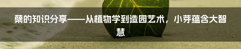 蘖的知识分享——从植物学到造园艺术，小芽蕴含大智慧